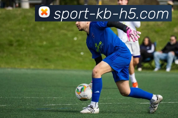 KB体育APP 高清赛事图